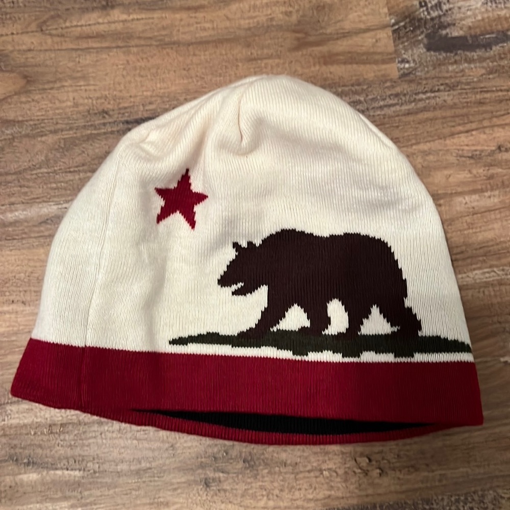 Patagonia California flag beanie hat